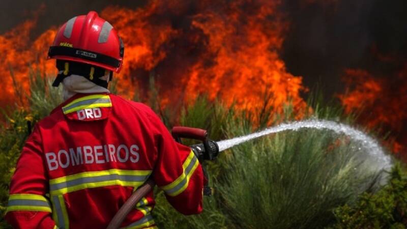  Στις φλόγες μεγάλες εκτάσεις σε Γαλλία και Ισπανία – Συναγερμός για τον καύσωνα στη δυτική Ευρώπη