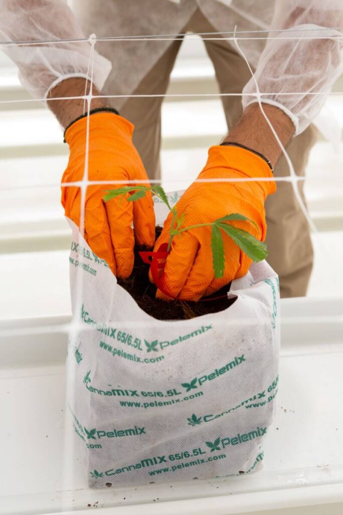 ΔΤ TIKUN EUROPE φωτογραφία 2