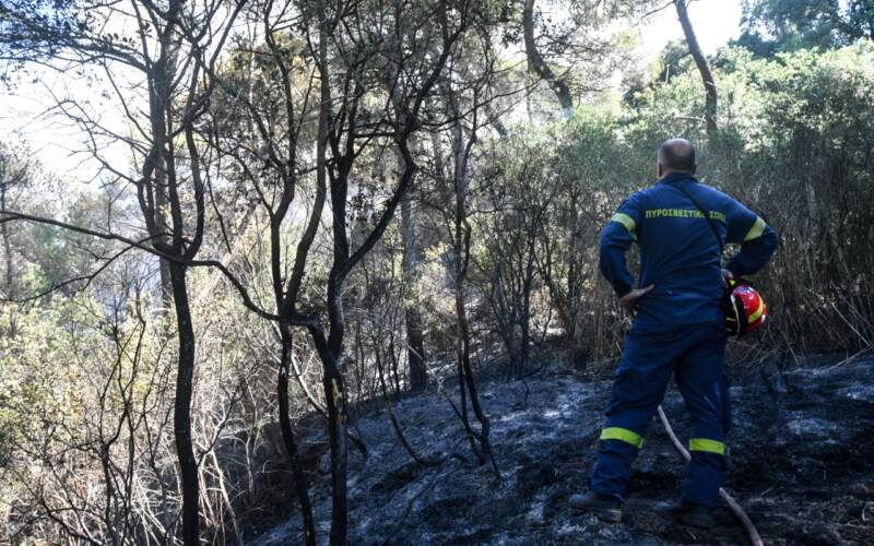  Ρέθυμνο: Σε ύφεση η πυρκαγιά – Κλιμάκια της περιφέρειας ξεκινούν την καταγραφή των ζημιών