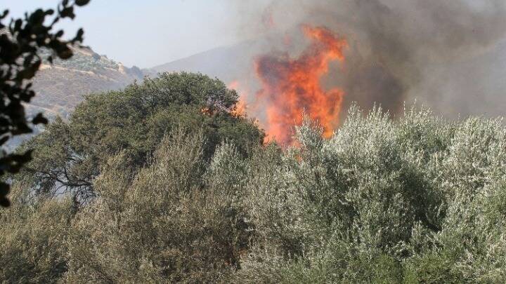 Υψηλός κίνδυνος πυρκαγιάς τη Δευτέρα – Ποιοι περιοχές βρίσκονται στο “πορτοκαλί”