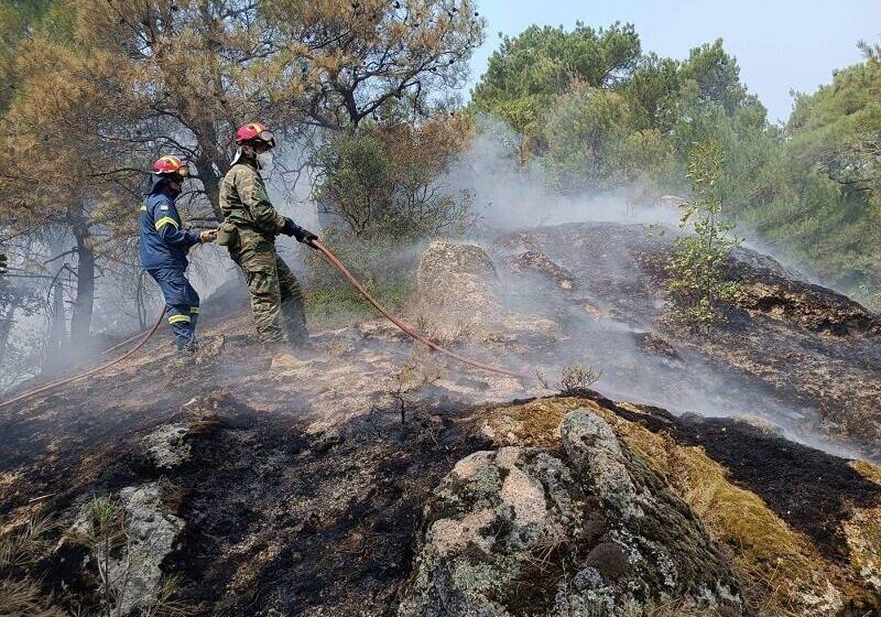  Δαδιά: Κάηκε το 23% του δάσους – “Δακρύζω με την μαυρίλα” λέει ο δήμαρχος