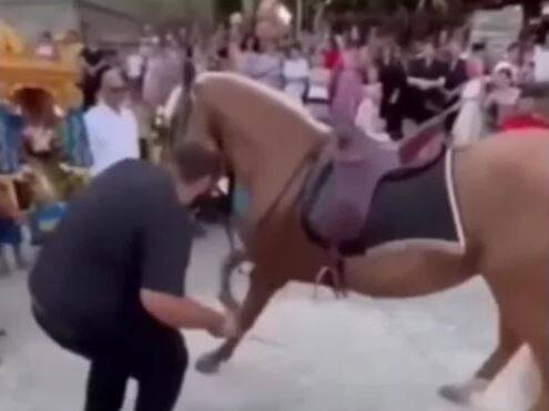  Ανάγκασαν άλογα να… προσκυνήσουν την εικόνα της Αγίας Παρασκευής – Το βίντεο που προκαλεί οργή