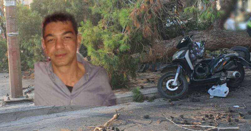  Κρήτη: Θλίψη για τον 50χρονο Παναγιώτη που καταπλακώθηκε από δέντρο ενώ περίμενε στο φανάρι