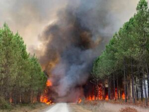 ‘’Μαύρο’’ 2022 – Η Ευρώπη στις φλόγες: Ρεκόρ καμένων δασικών εκτάσεων