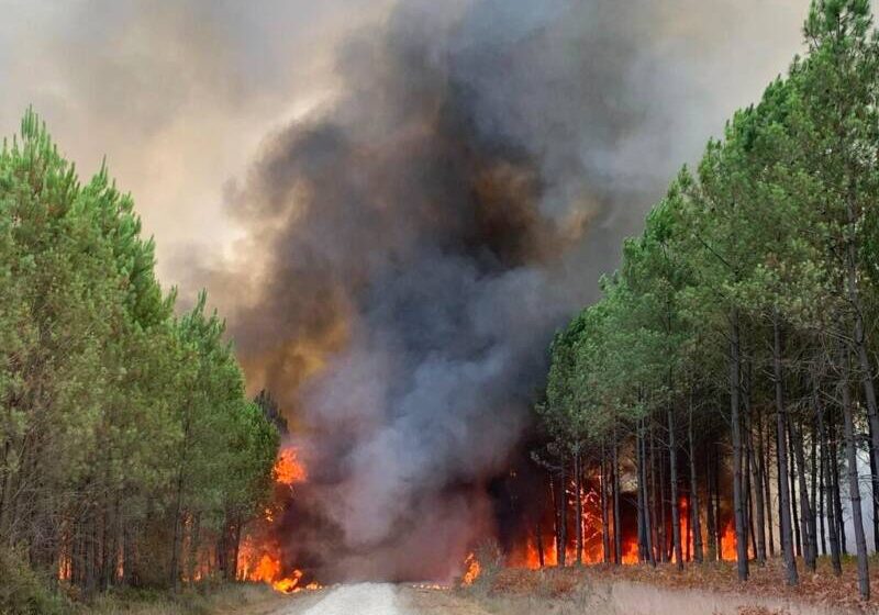  ‘’Μαύρο’’ 2022 – Η Ευρώπη στις φλόγες: Ρεκόρ καμένων δασικών εκτάσεων