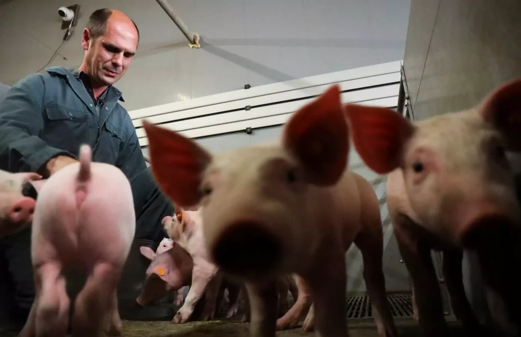 epistimones gourounia organa metamosxeuseis