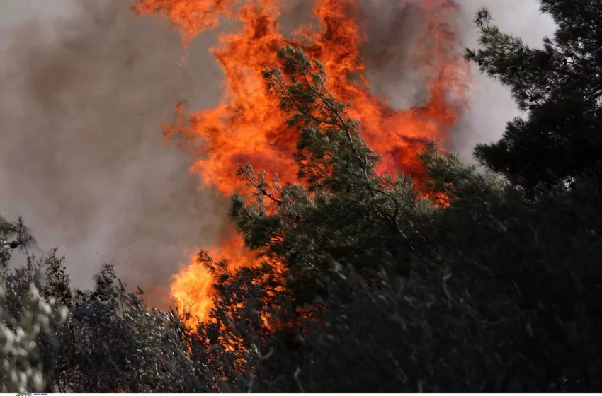  Φωτιά στην Κοζάνη στην περιοχή Πύργοι