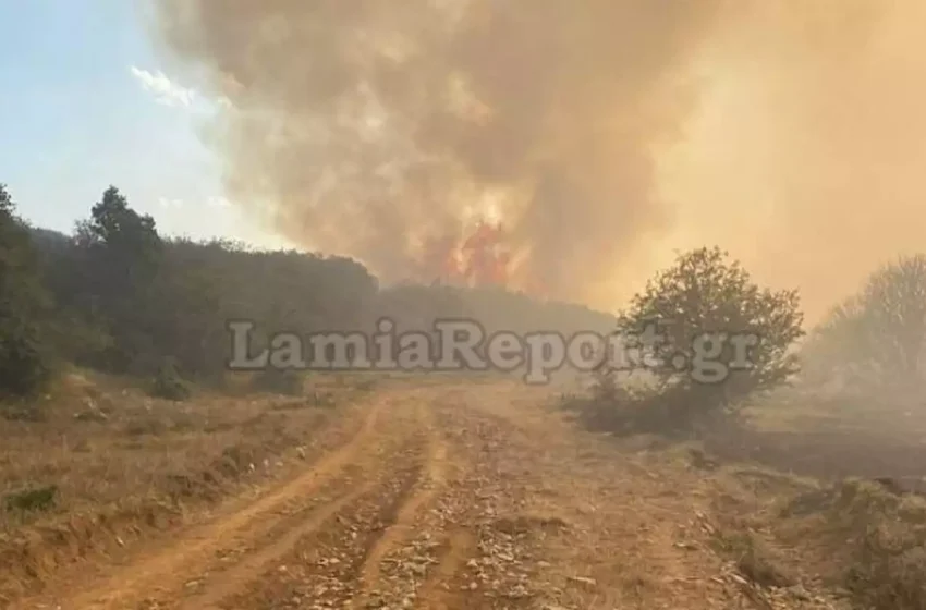  Μεγάλη φωτιά στην Στυλίδα με κατεύθυνση το χωριό Λογγίτσι