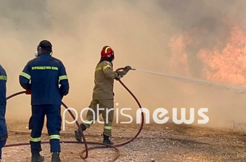  Φωτιά στη Σπιάτζα Ηλείας – Παραλίγο να καεί όχημα της πυροσβεστικής (vid)