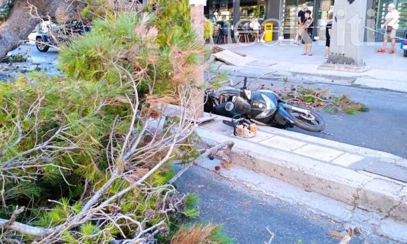  Κρήτη: Νεκρός 50χρονος οδηγός μηχανής – Τον καταπλάκωσε δέντρο, ενώ περίμενε στο φανάρι (εικόνες)