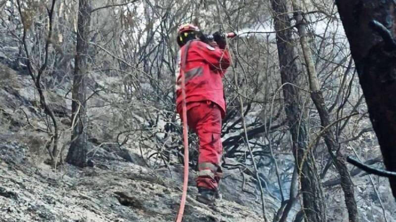  H πυρκαγιά του Αυγούστου στη Θάσο έκαψε 2.770 στρέμματα