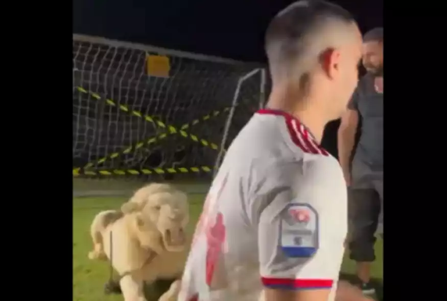 2bb66ac5 659a 4a3c a4f6 e3ceccb52043