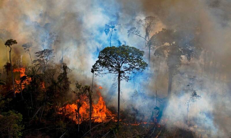  Αμαζόνιος – Στο μεγαλύτερο τροπικό δάσος του πλανήτη, οι πυρκαγιές έως τώρα, ξεπέρασαν το σύνολο του 2021