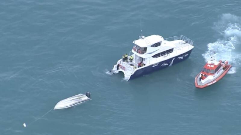 Νέα Ζηλανδία: Σκάφος προσέκρουσε σε φάλαινα -Πέντε νεκροί
