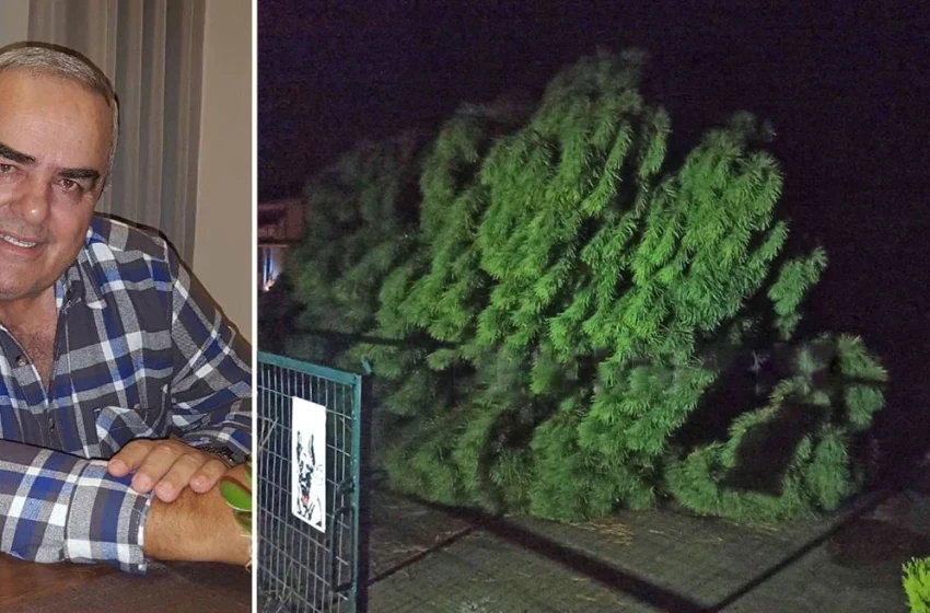  Σέρρες: Αυτός είναι ο 69χρονος που καταπλακώθηκε από δέντρο – Γιατί βγήκε στην αυλή (εικόνα)