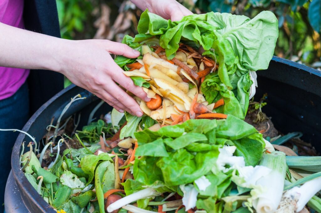 Τι είναι το “food fatigue”; 7 food waste problem