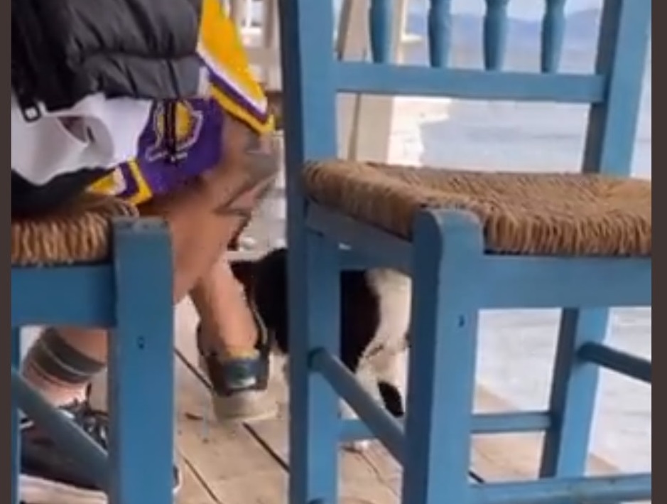 gataki aidipsos athoosei