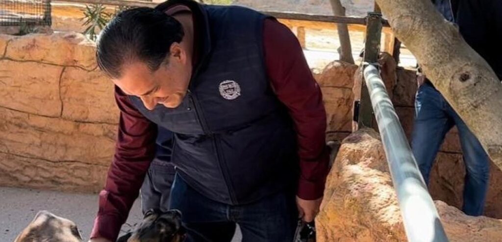 georgiadis attiko parko PNG