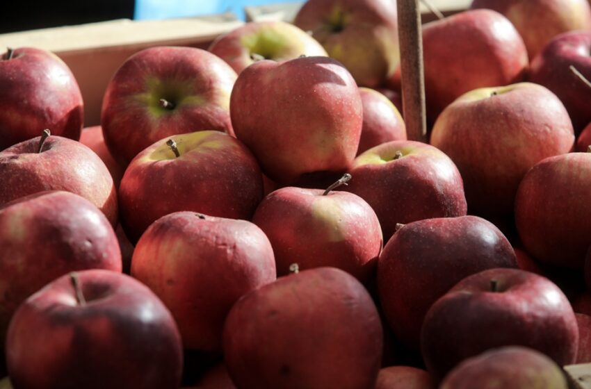  Τα μήλα έφτασαν 2,5 ευρώ το κιλό – Παρέμβαση προανήγγειλε ο Γεωργαντάς