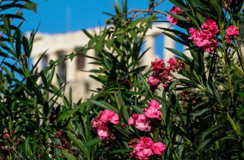  Επιμένει η καλοκαιρία με άνοδο της θερμοκρασίας στους 26 βαθμούς