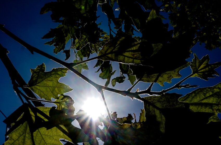  Ηλιοφάνεια με πτώση των ανέμων και θερμοκρασία στους 28 βαθμούς