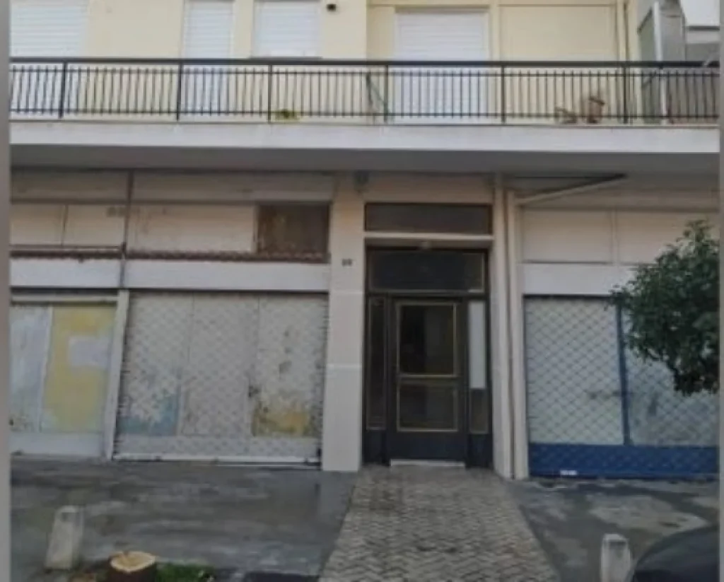 ioanna kolovou etaireia spiti plisteiriasmos