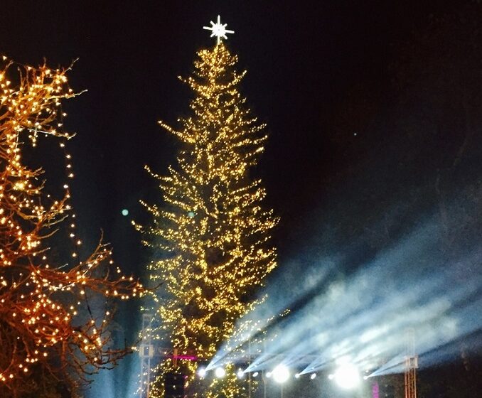  Τρίκαλα: Φωταγωγήθηκε το μεγαλύτερο φυσικό χριστουγεννιάτικο δέντρο της χώρας (vid )