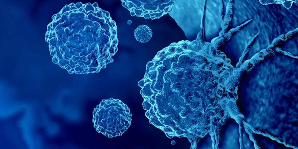 ΚΑΡΚΙΝΙΚΑ ΚΥΤΤΑΡΑ