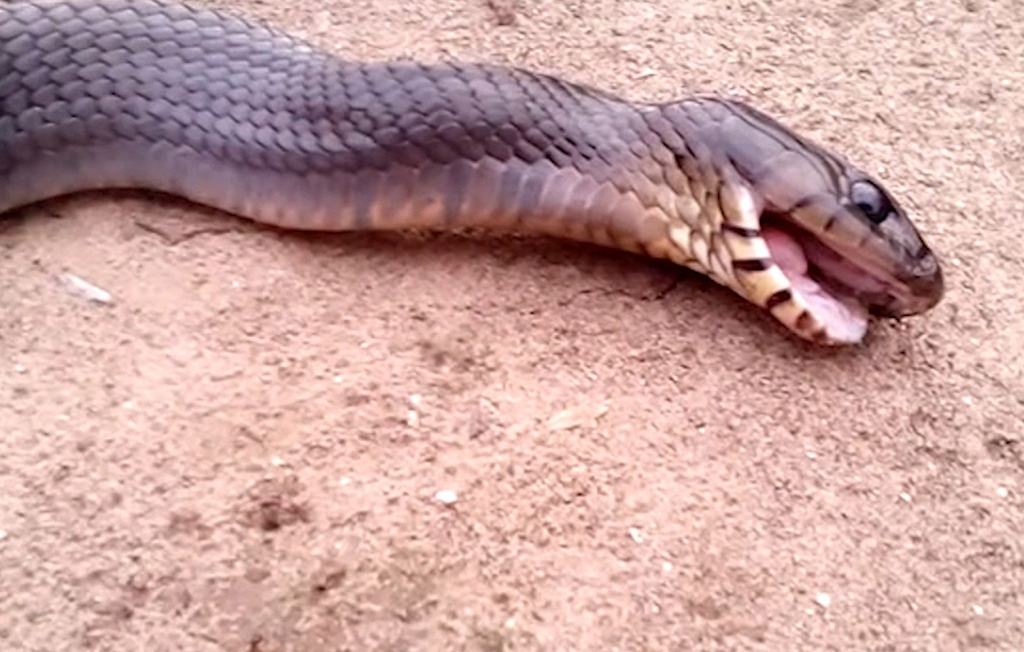 Καταγραφή 1 11