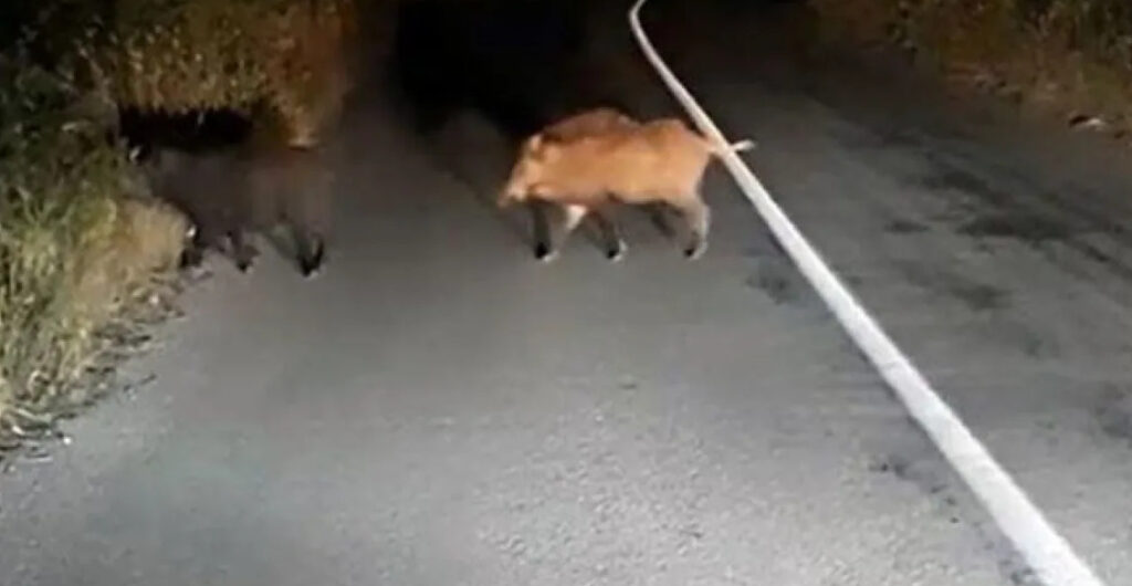 Καταγραφή 4 4