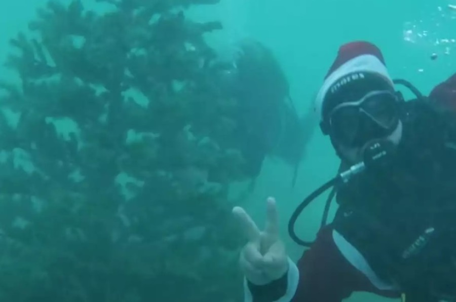 4203bac1148517ee9d2363f39be37a29 L 1