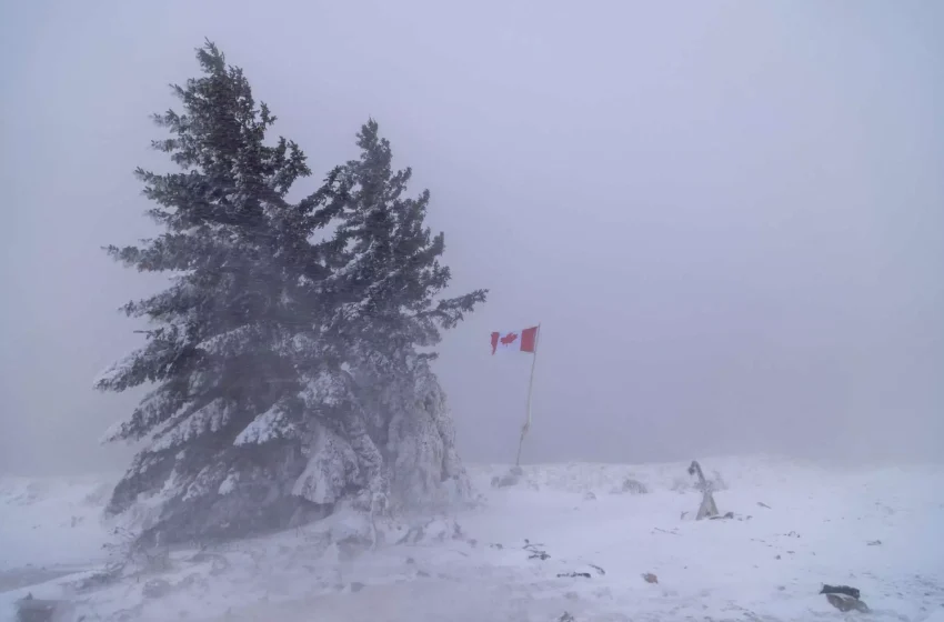 Καναδάς: 53 τραυματίες από τροχαίο με λεωφορείο – Σφοδρή χιονοθύελλα στην περιοχή