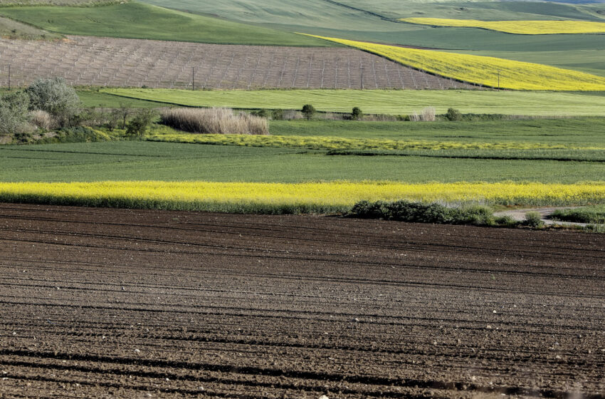  Ζεστός καιρός στην Ευρώπη: Ευλογία για το κόστος ενέργειας, κατάρα για τους αγρότες και τις τιμές τροφίμων
