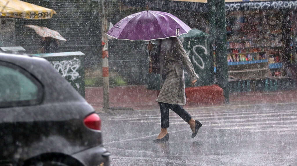 kairiko kataigida xr