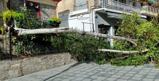  Κακοκαιρία: Χαλάζι στην Ολυμπία, πτώσεις δέντρων στη Θεσσαλονίκη