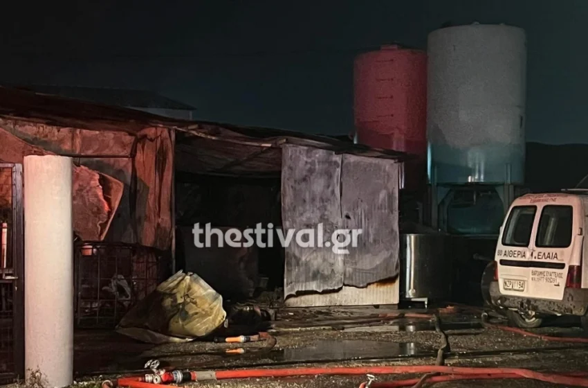  Θεσσαλονίκη: Φωτιά σε επιχείρηση με αιθέρια έλαια – Στο Παπαγεωργίου ένας άνδρας με πολλαπλά εγκαύματα