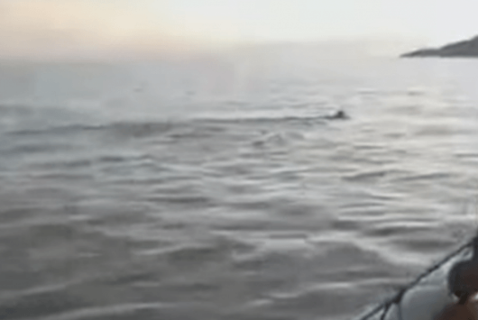 Στιγμιότυπο 2023 01 20 3.29.33 μ.μ.