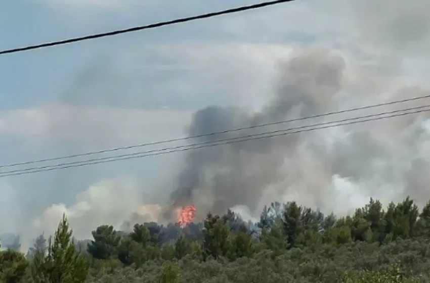  Δυνατή φωτιά σε περιοχή της Κρήτης: Στο σημείο ισχυρές δυνάμεις της Πυροσβεστικής