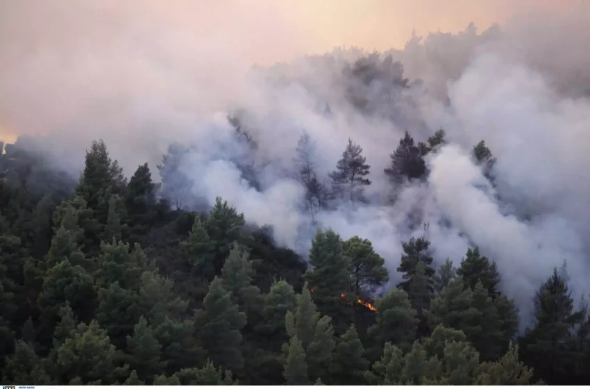  Ζάκυνθος: Μεγάλη φωτιά στο χωριό Κορίθι – Δυνατός αέρας στην περιοχή