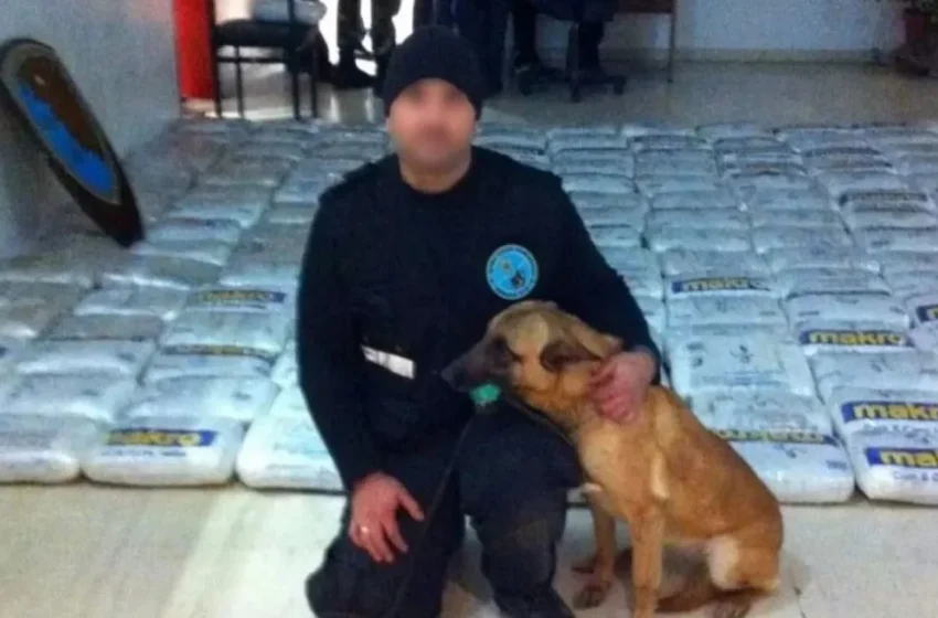  Ηγουμενίτσα: Έφυγε από τη ζωή το θρυλικό σκυλάκι του λιμεναρχείου – Είχε βραβευτεί από υπ. Ναυτιλίας