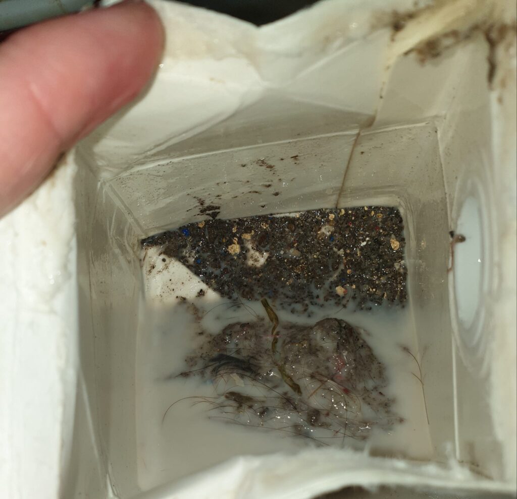 336996096 924351728609332 3615612875424275630 n