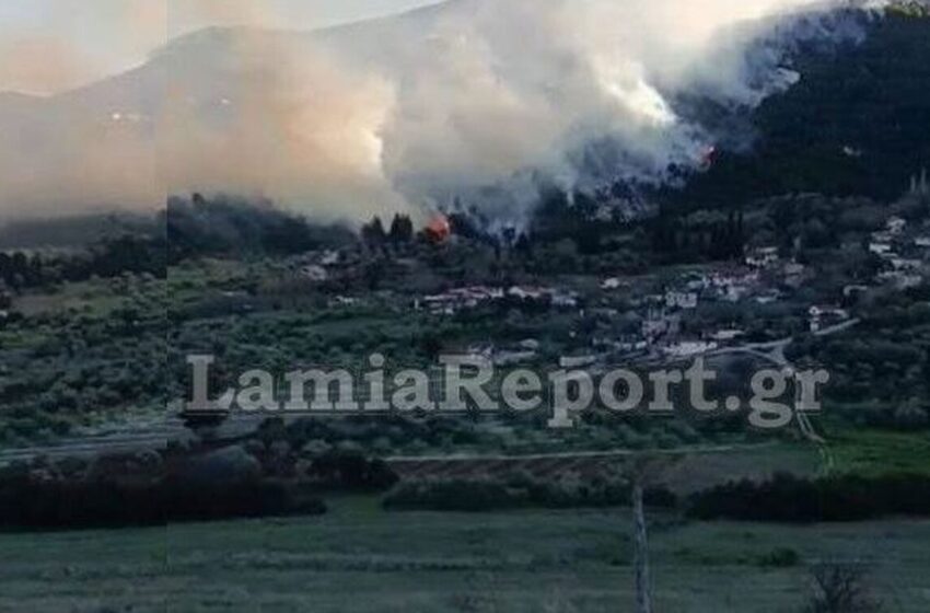  Μεγάλη φωτιά στη Φθιώτιδα – Άνεμοι 6 μποφόρ στη περιοχή
