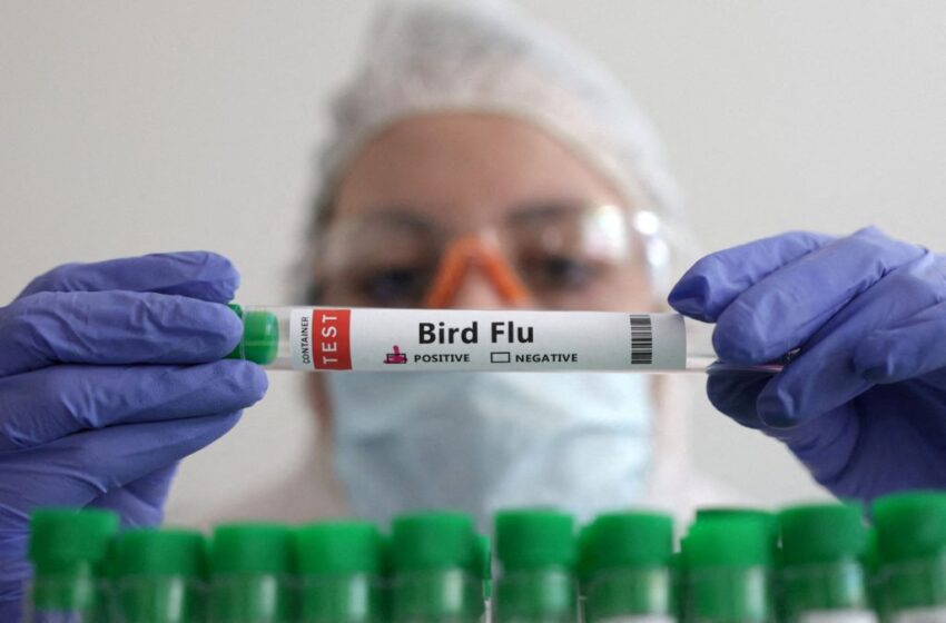  Οι φαρμακοβιομηχανίες ετοιμάζουν εμβόλια για την Γρίπη των Πτηνών