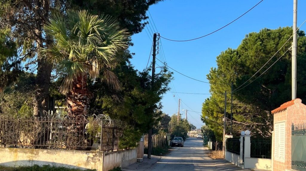 lagonisi pyrovolismoi 16xronoi