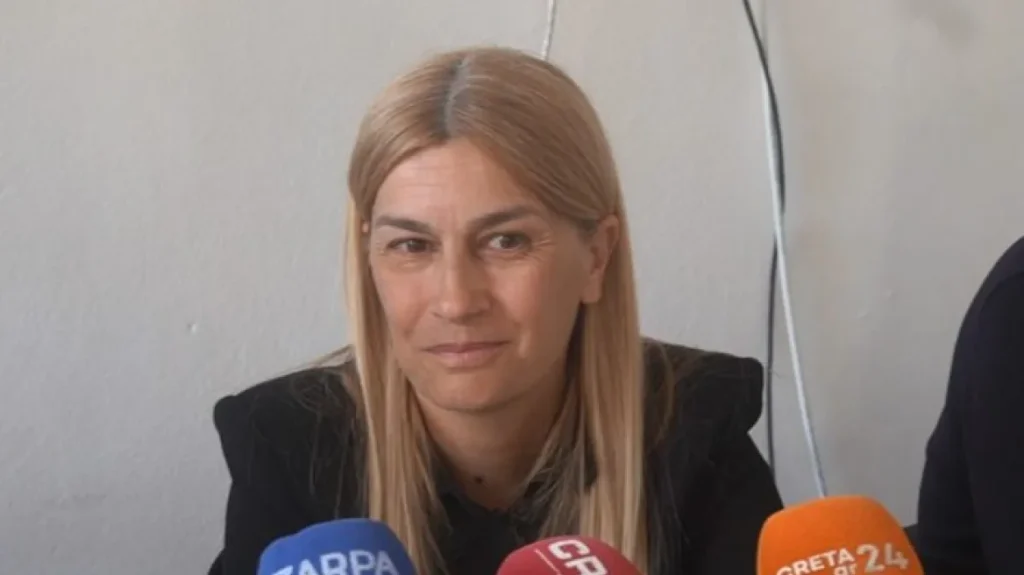 sevi voloudaki ypopsifia nea dimokratia