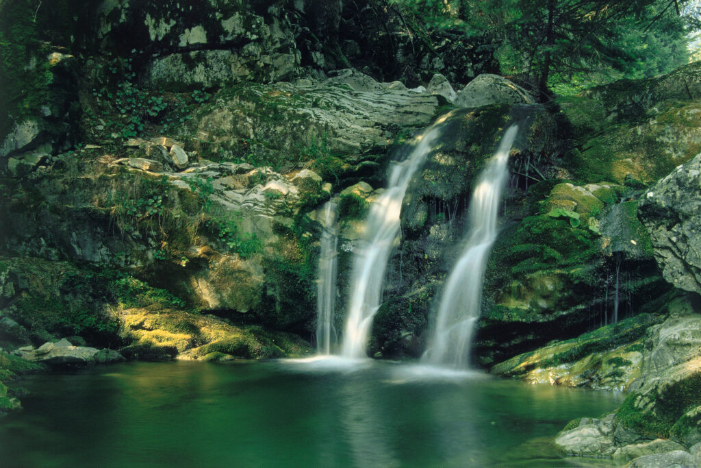 ΦΩΤΟ ΠΕΤΡΟΥ 2