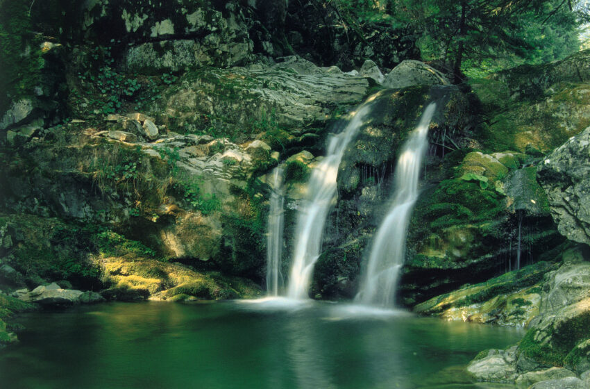  Νίκος Πέτρου/Παγκόσμια Ημέρα Νερού: Ευκαιρία για να αναλογιστούμε την αξία του νερού για άνθρωπο και φύση