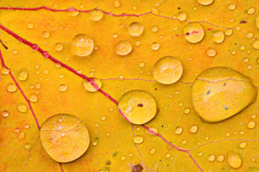 ΦΩΤΟ ΠΕΤΡΟΥ 3