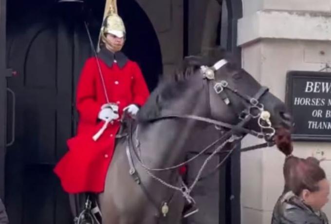  Βρετανία: Άλογο της βασιλικής φρουράς άρπαξε τουρίστρια από την κοτσίδα (vid)