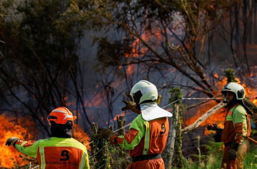  Ισπανία: Υπό έλεγχο οι πυρκαγιές στο βόρειο τμήμα της χώρας (vid)